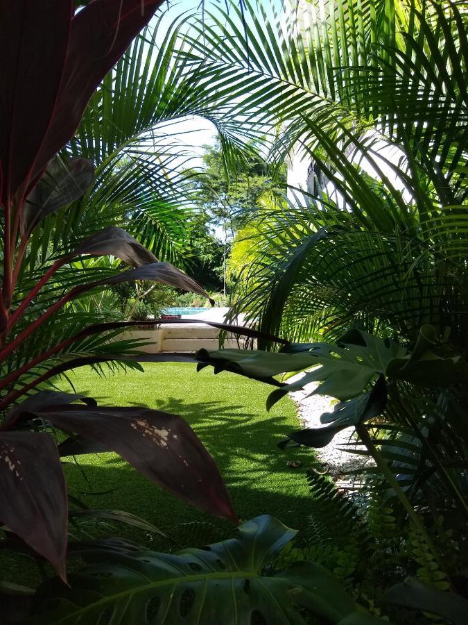 Palm Beach Inn Playa Grande Extérieur photo