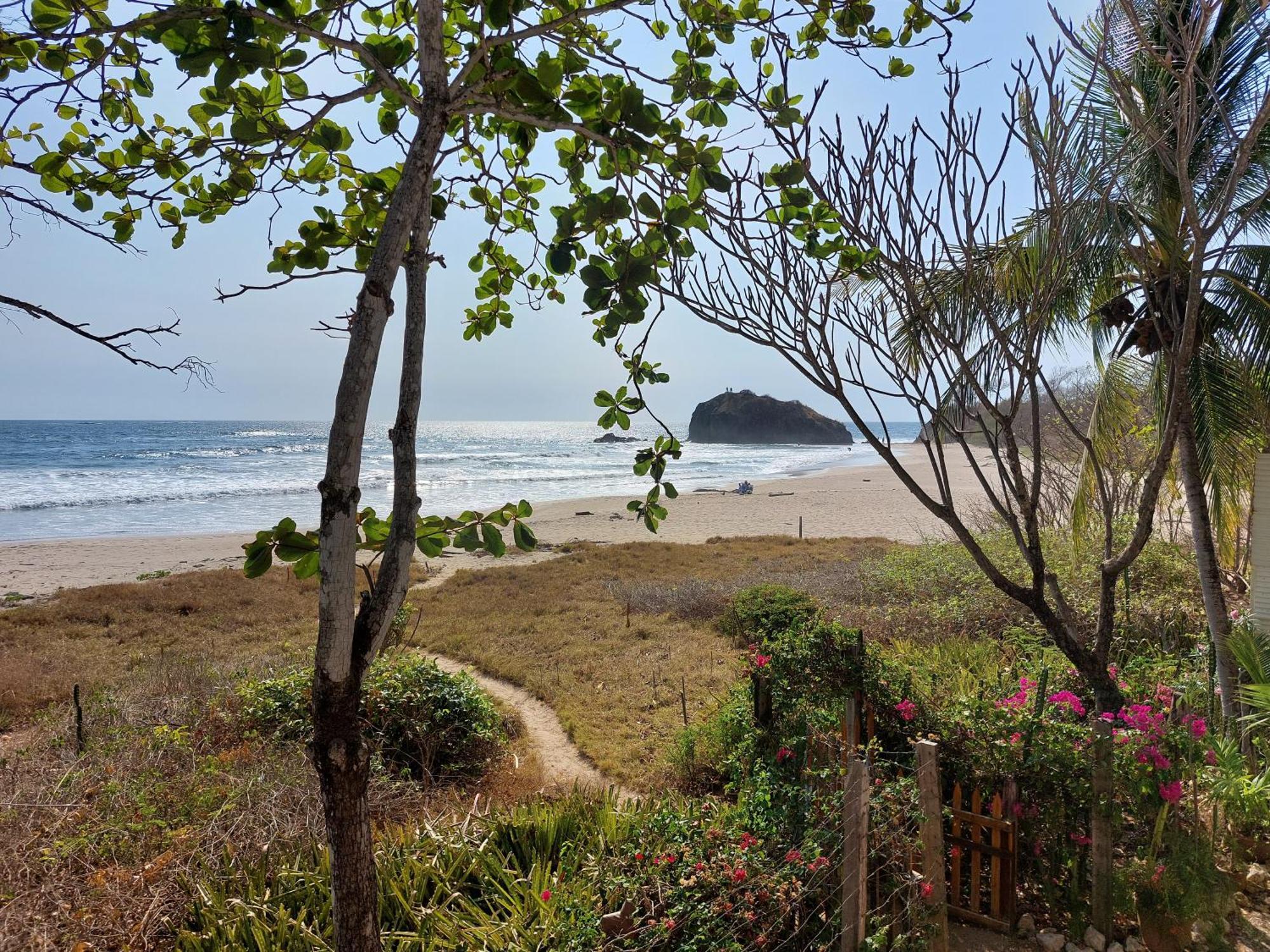 Palm Beach Inn Playa Grande Extérieur photo